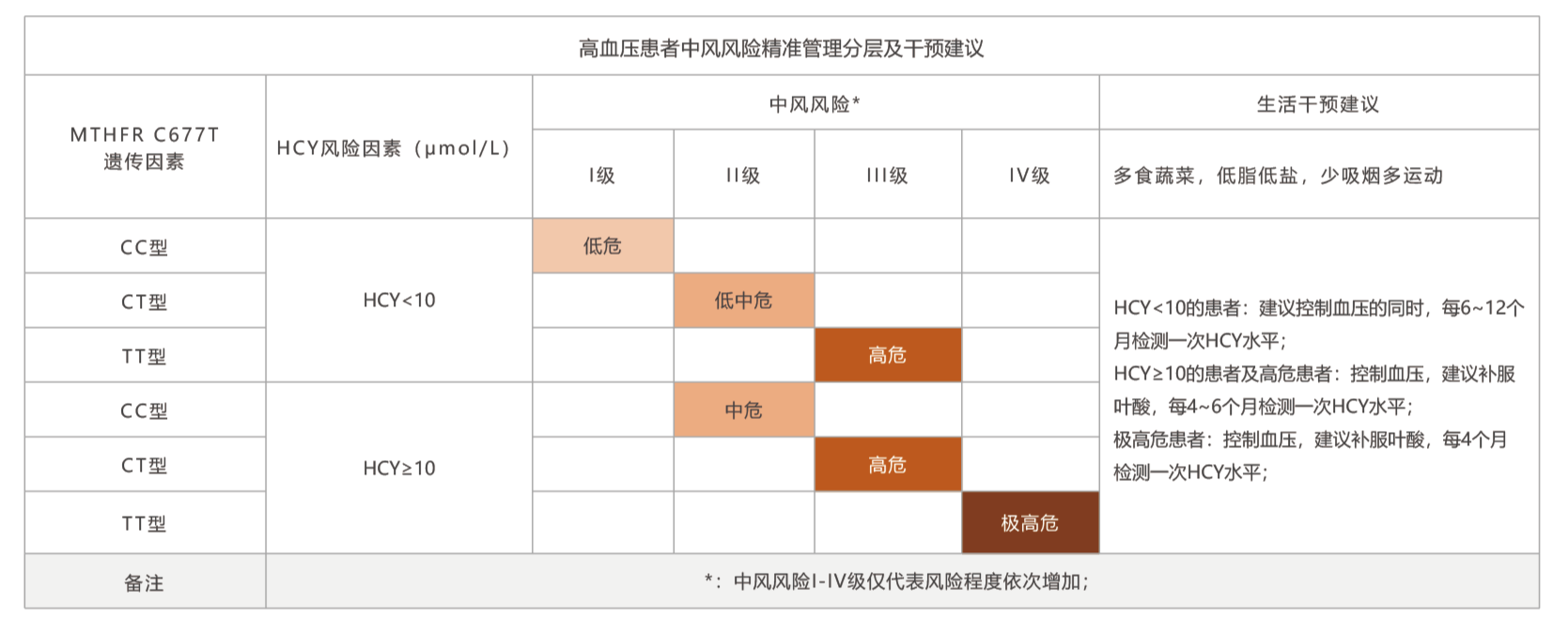 MTHFR -体检3_画板 1_edit.png